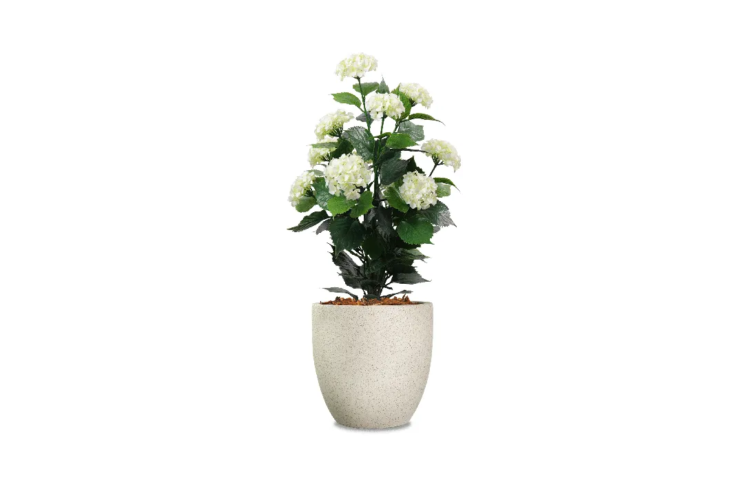 Vistafolia Artificial Hydrangea - Presentation Media