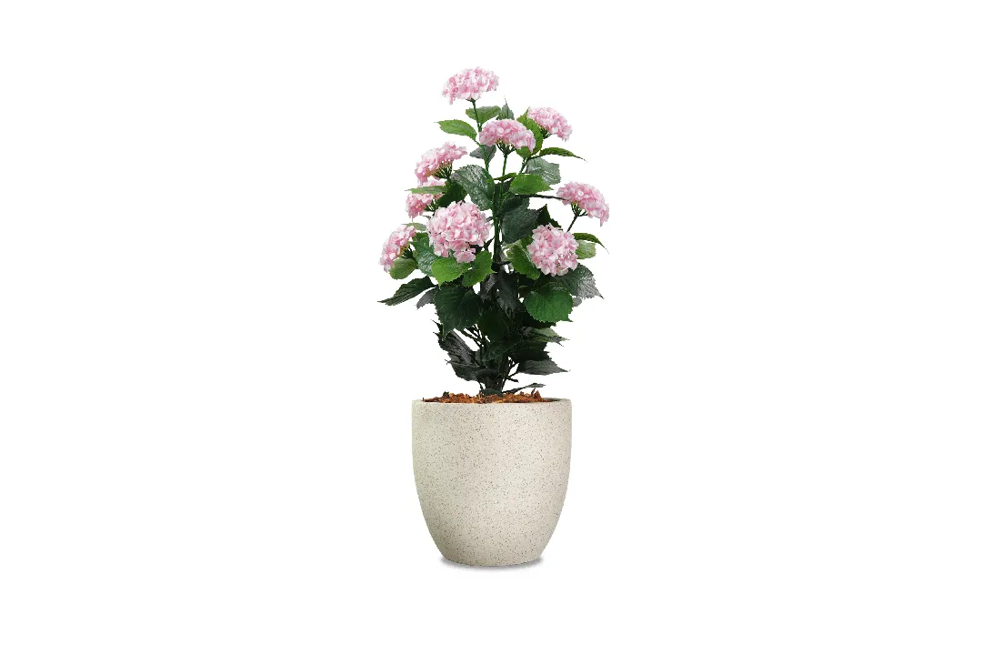 Vistafolia Artificial Hydrangea - Presentation Media